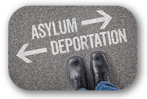 Asylum petitions