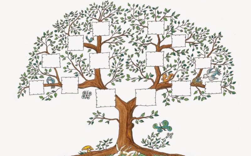 Inmigrante de primera o segunda generación