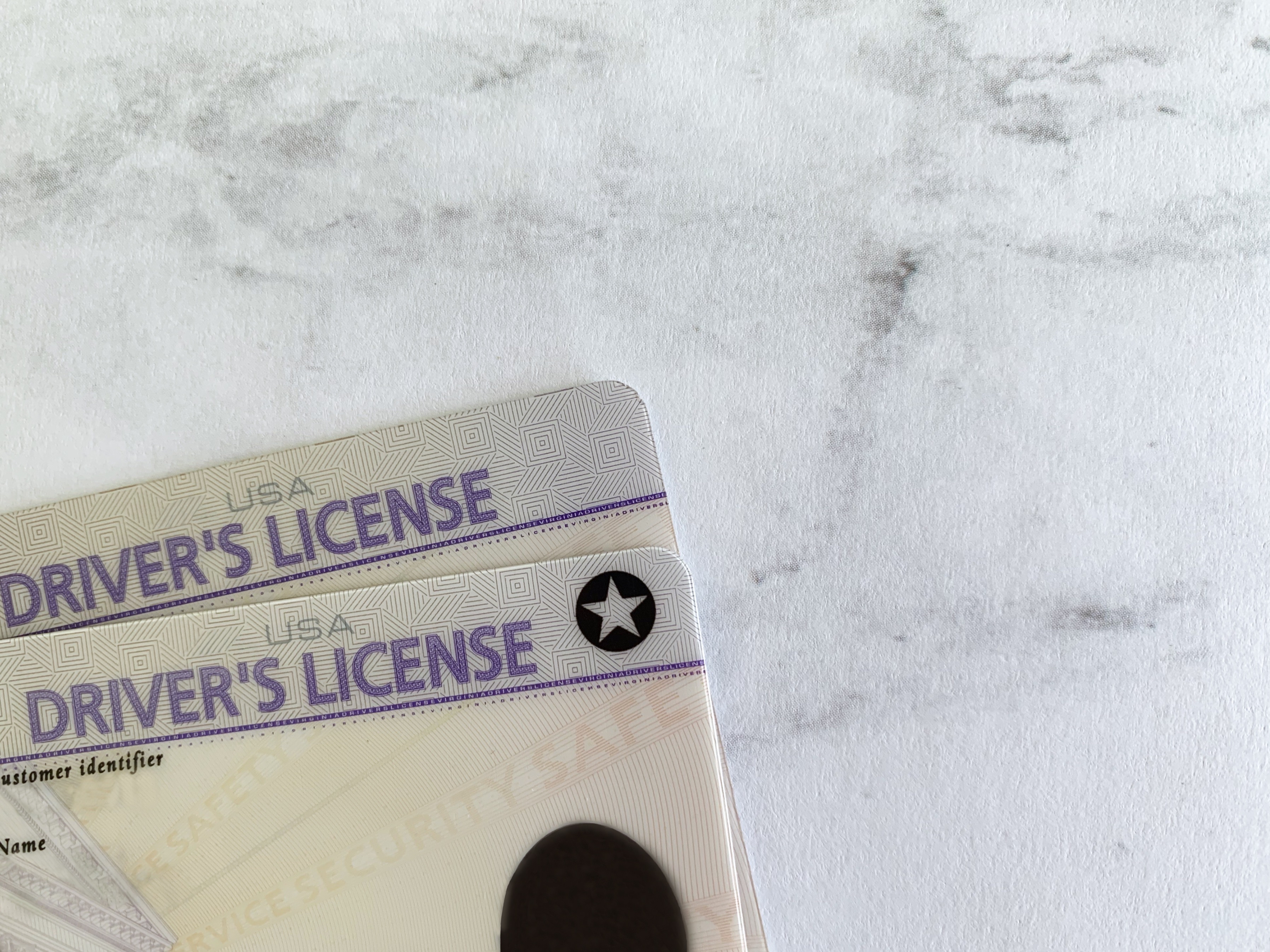 licencias para indocumentados