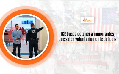 ICE busca detener a inmigrantes que salen voluntariamente del país